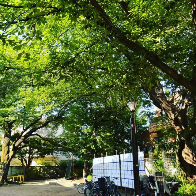 商店会のすぐそばにあるこの公園は、季節のうつろいとともに表情を変える、街の小さなオアシス。

朝の光が差し込む時間、子どもたちの声が響く午後、ふと立ち止まって深呼吸したくなる夕暮れ。

西荻の「顔」とも言えるこの場所が、今日も変わらず、私たちの日常を包み込んでくれます。

#西荻窪 #西荻散歩 #西荻商店会 #公園のある風景 #木漏れ日 #西荻時間 #日常にある幸せ